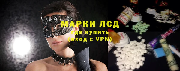 индика Арсеньев