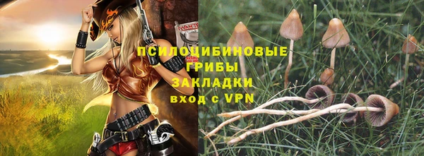 индика Арсеньев