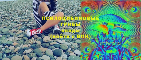 индика Арсеньев