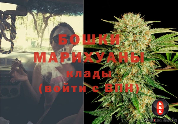индика Арсеньев