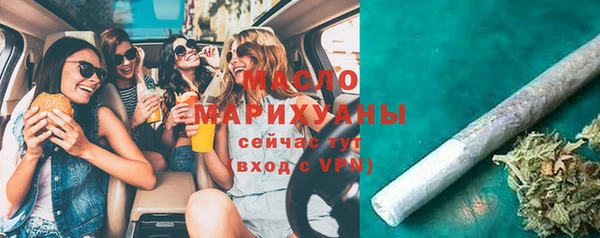 индика Арсеньев