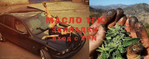 индика Арсеньев
